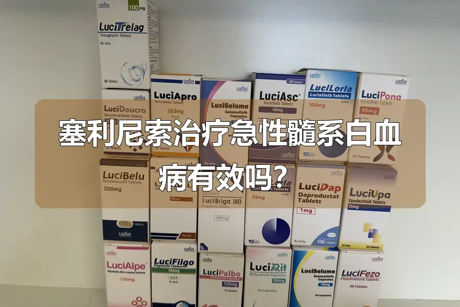 塞利尼索治疗急性髓系白血病有效吗？